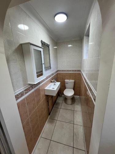 ノリッジにあるLittle Edgewoodのトイレと洗面台付きのバスルーム