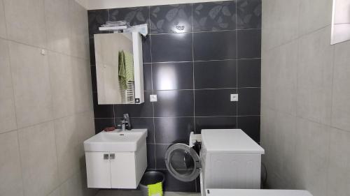 Koupelna v ubytování Apartmány Solka