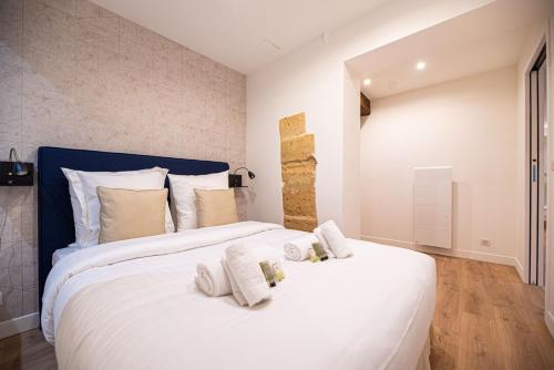Beautiful Apartment in Saint Germain