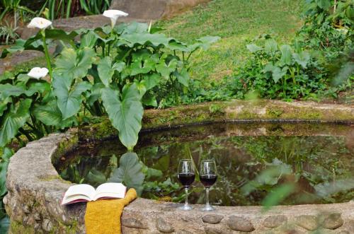 two glasses of wine and a book next to a pond at Pousada Olho D'Água in Visconde De Maua