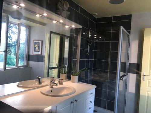 ein Badezimmer mit zwei Waschbecken und einer Dusche in der Unterkunft Le Dort'Thouars - bord de rivière et bain nordique in Thouars