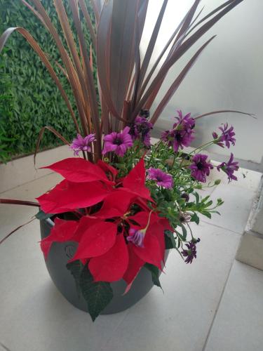 a vase filled with red and purple flowers at CASA FRAN Departamento temporal in Luján