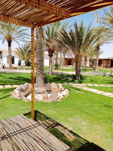 a view of a yard with palm trees at Garden12 Outdoor & More in Douz