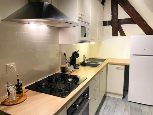 Il comprend une cuisine équipée d'un four et de plaques de cuisson. dans l'établissement À la petite Venise hyper centre Colmar, à Colmar