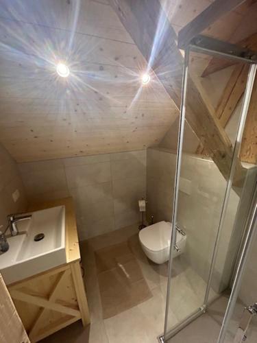 a small bathroom with a toilet and a sink at Gorjuška Rozamunda in Bohinjska Bistrica
