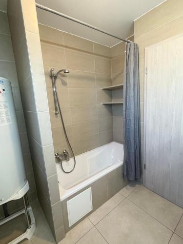 une salle de bain avec douche et baignoire dans l'établissement Appartement Bes,, Attique neuf avec confort, à Wittenheim