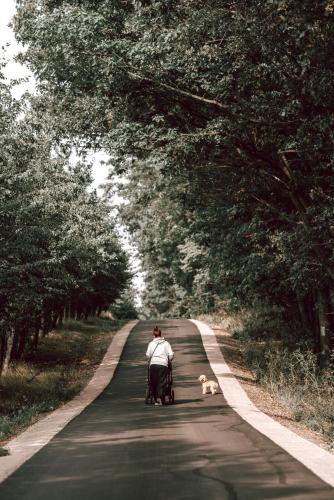 a person in a wheelchair on a road with a dog at Chata Lipinka in Strážnice