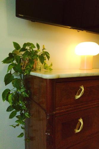 a lamp sitting on top of a dresser with a plant at Vivi Lucca con "Madame Fannj" - Camera Verde in Lucca