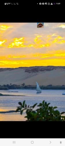 a white shark in the water with a sunset at Dangy Kato in Aswan