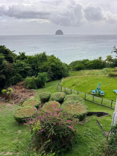 a view of the ocean from a yard with a fence at Lady laying in Le Diamant