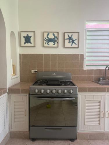 Foto dalla galleria di Playa Turix Villa a Chicxulub