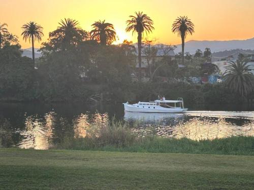 a boat on the water with palm trees in the background at The Little River Cottage - Riverfront Retreat in Murwillumbah