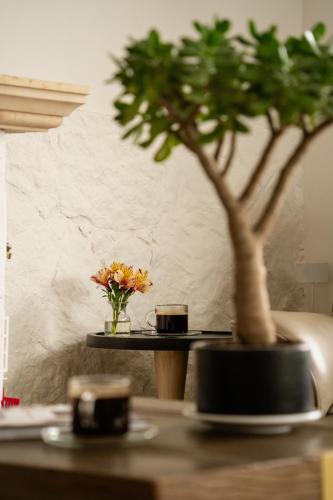 a table with a potted tree on top of it at Hotel Boutique San Luis Mongui in Monguí