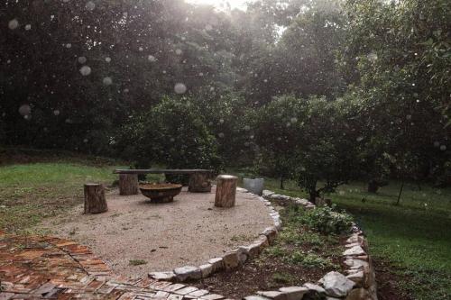 a park with a bench and trees in the rain at Baxter Lodge - Hinterland Country Luxury in Mapleton