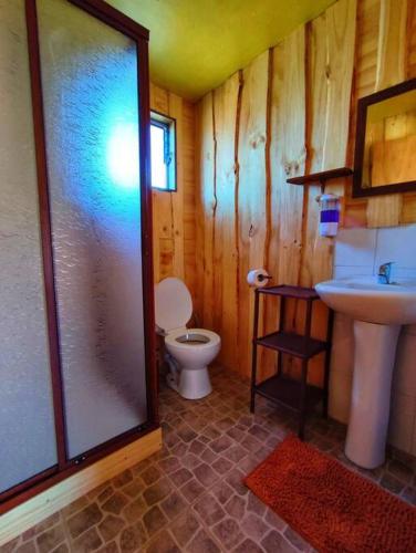 ein Badezimmer mit Dusche, Toilette und Waschbecken in der Unterkunft El Sauce hospedaje in Cobquecura