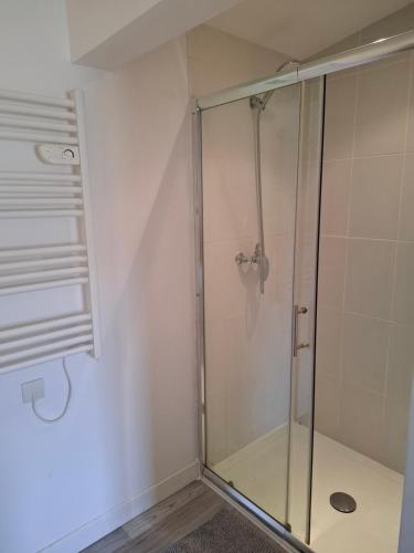 een douche met een glazen deur in een badkamer bij Ateka Dax appartement in Dax