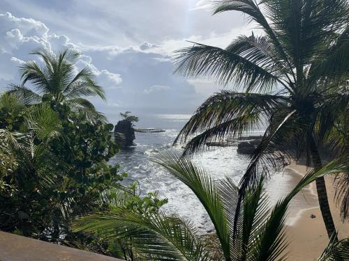 a view of the ocean from a beach with palm trees at Pangea Lodge Tropical Vibe Home with Shared Pool in Manzanillo