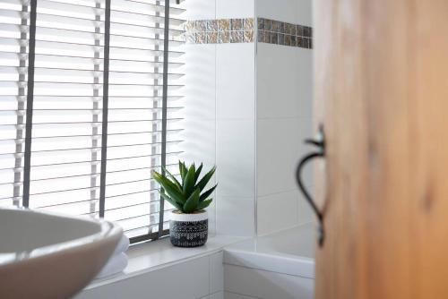 a bathroom with a sink and a plant in a window at Cosy Nook in Windermere
