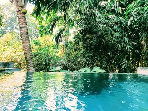 Bazén v ubytování Ngesil Private Joglo & Pool nebo v jeho okolí