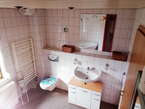a bathroom with a sink and a toilet at Ferienhaus bei der Müritz-Elde Wasserstraße in Malchow