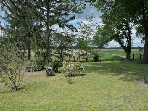 a garden with trees and flowers in the grass at Ferienhaus bei der Müritz-Elde Wasserstraße in Malchow