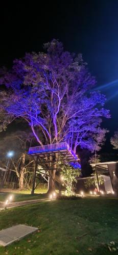 a tree with purple lights on it at night at Cabaña V Moderna y Memorable Corotú Garden in Boquete