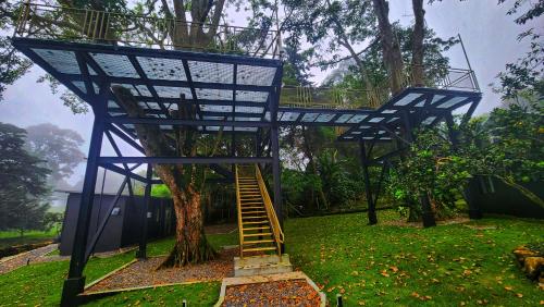 a tree house with a ladder next to a tree at Cabaña V Moderna y Memorable Corotú Garden in Boquete