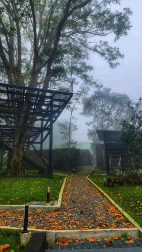 a foggy path in a park with a tree at Cabaña V Moderna y Memorable Corotú Garden in Boquete