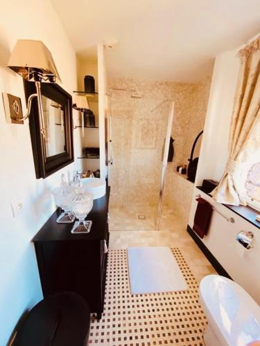 une salle de bain avec un lavabo, des toilettes et une douche dans l'établissement Villa Maolo 2, à Roquebrune-sur Argens