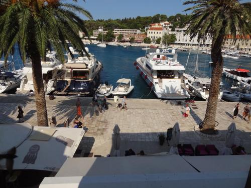 a group of boats docked in a marina with palm trees at Inn Town Center in Hvar