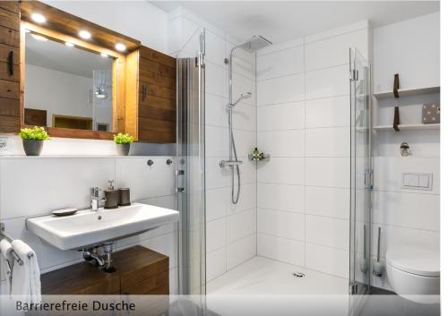 a bathroom with a sink and a shower at Der Küstengruß in Olpenitzdorf
