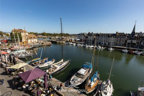 un groupe de bateaux est amarré dans un port de plaisance dans l'établissement Dolphin view - 1st floor - Charming comfortable flat on the port, à Honfleur