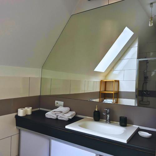 a bathroom with a sink and a mirror at ZAMKOWE TARASY Apartamenty Old Town by stayly in Szczecin