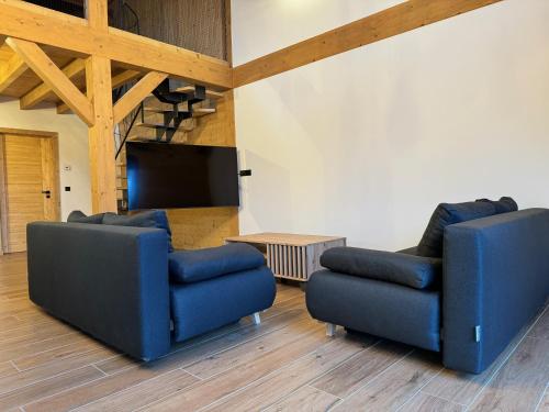 a living room with two blue chairs and a flat screen tv at Chalet de montagne Sant Feliu Feliu à Dorres in Dorres