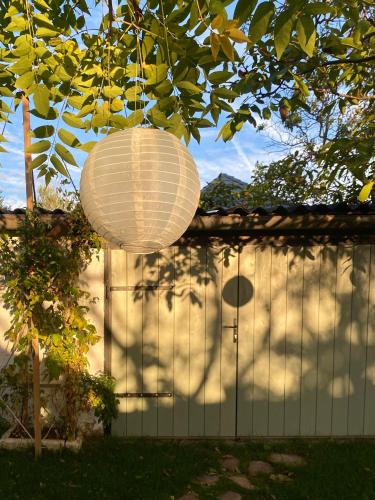 a white lantern hanging from a tree in a yard at Hatablak Köveskál in Köveskál