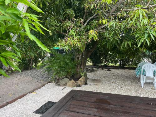 a table and a chair sitting under a tree at Fare VĪ in Puahua