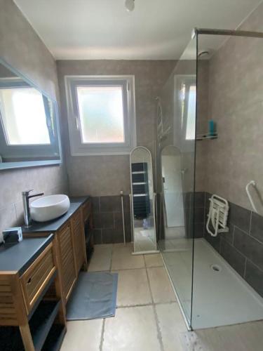 une salle de bain avec un lavabo et une douche en verre dans l'établissement Rose, à Viviers