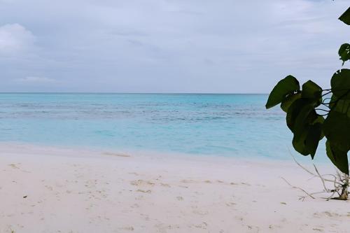 a view of the ocean from the beach at Bougan Villea Retreat in Bodufolhudhoo