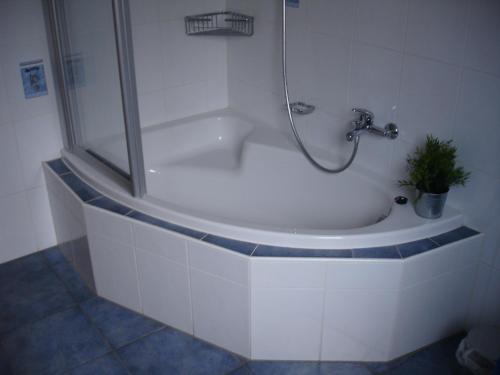 a bath tub with a shower and a plant in it at Ferienwohnung Jansen in Kirchhundem