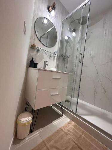 une salle de bain avec une douche, un lavabo et un miroir dans l'établissement Elégant petit appartement sete, à Sète