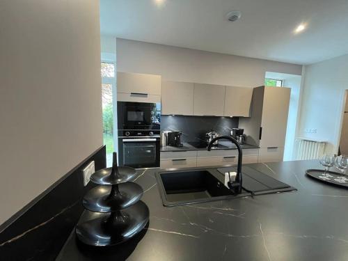 une cuisine avec un comptoir noir et blanc dans l'établissement Les jardins de marlioz appartement 3 chambres et parkings, à Aix-les-Bains