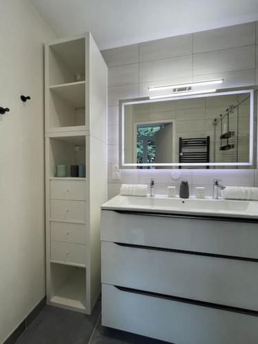 une salle de bain blanche avec un lavabo et un miroir dans l'établissement Les jardins de marlioz appartement 3 chambres et parkings, à Aix-les-Bains