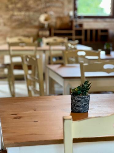 a potted plant sitting on a table in a classroom at Tenuta Gran Bosco in Loro Piceno