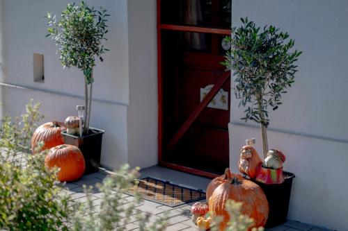 Afbeelding uit fotogalerij van Erdődy Vendégház in Kastélyosdombó