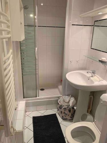 une salle de bain avec toilettes, lavabo et douche dans l'établissement Appartement cosy hyper-centre Cauterets, à Cauterets