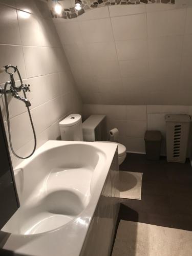 a bathroom with a sink and a toilet at Am Dàntzwaj in Lembach