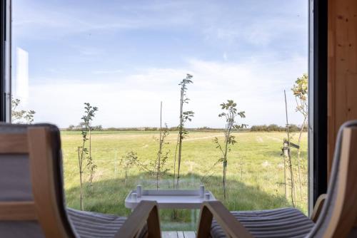 Κήπος έξω από το Hello Zeeland - Zeeuwse Liefde Tiny House 7