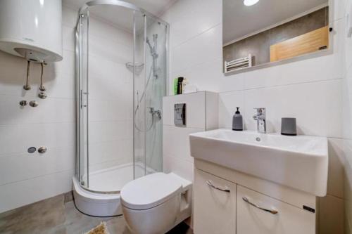 a bathroom with a toilet and a sink and a shower at Apartman Premija in Zlatibor