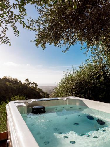 a jacuzzi tub with blue water in a tree at Tenuta Zamparina in Montignoso
