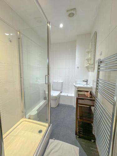 a bathroom with a shower and a toilet and a sink at Gower street residences in London